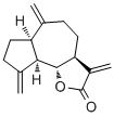 去氫木香內酯 CAS：477-43-0