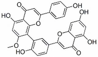 蘇鐵雙黃酮 CAS：2608-21-1 中藥對照品標(biāo)準(zhǔn)品