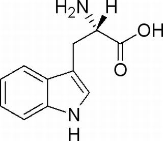 L-色氨酸 CAS：73-22-3 中藥對照品標準品