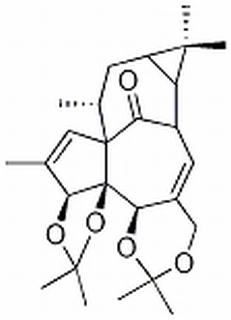 巨大戟醇-3,4:5,20-雙縮丙酮 CAS：77573-44-5 中藥對(duì)照品標(biāo)準(zhǔn)品