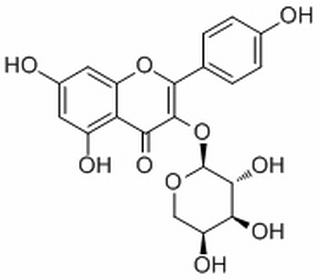 山柰酚-3-O-α-L-吡喃阿拉伯糖苷 CAS: 99882-10-7 中藥對(duì)照品