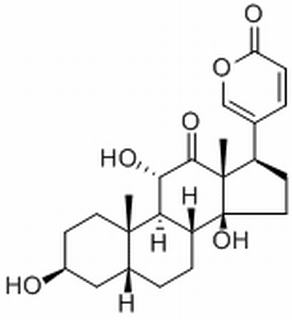 沙蟾毒精 CAS：464-74-4 中藥對(duì)照品標(biāo)準(zhǔn)品