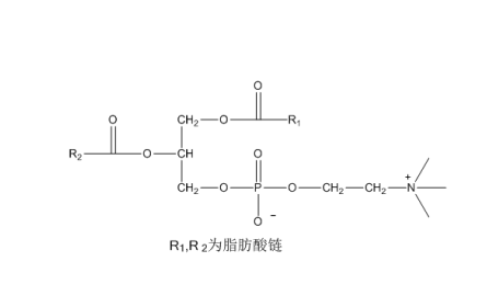 蛋黃磷脂酰膽堿 CAS：93685-90-6 中藥對照品 標(biāo)準(zhǔn)品