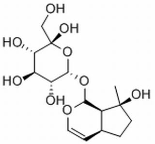 益母草苷 CAS： 52949-83-4 中藥對照品標準品