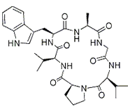 王不留行環肽A CAS：161875-97-4