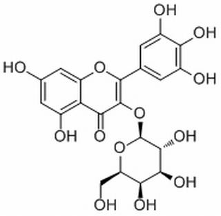 楊梅素-3-O-半乳糖苷 CAS：15648-86-9中藥對照品標(biāo)準(zhǔn)品