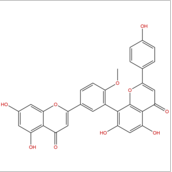 7-去甲基銀杏雙黃酮 CAS：521-32-4 中藥對照品標(biāo)準(zhǔn)品