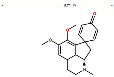 原荷葉堿