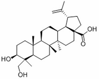 23-羥基白樺酸 CAS：85999-40-2 中藥對照品標準品