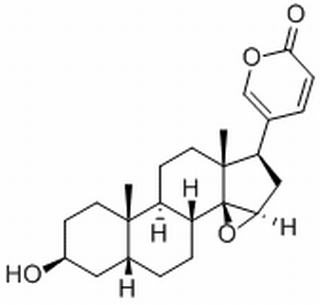 酯蟾毒配基 CAS:465-39-4 中藥對照品標準品