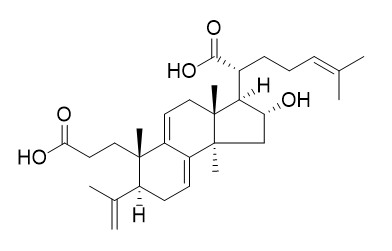 茯苓新酸B CAS: 137551-39-4 中藥對(duì)照品標(biāo)準(zhǔn)品