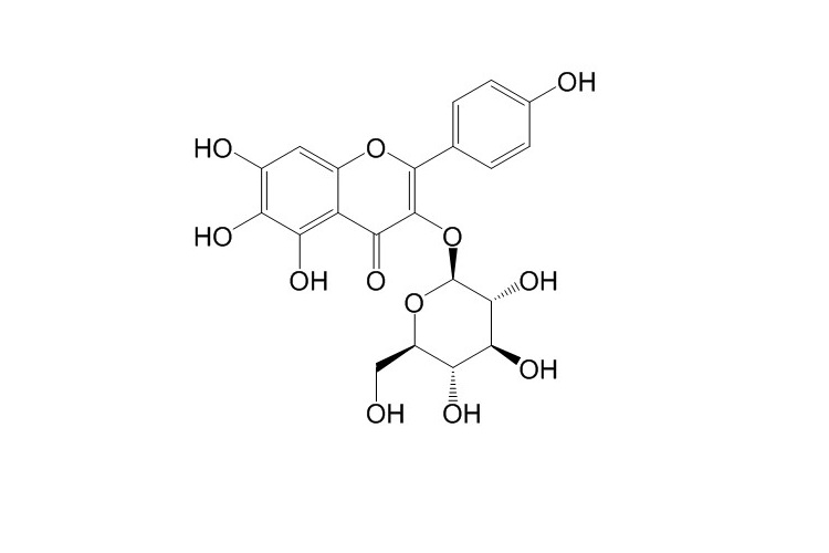 6-羥基山柰酚-3-O-β-D-葡萄糖苷 CAS號(hào)：145134-61-8 對(duì)照品標(biāo)準(zhǔn)品