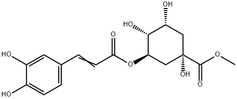 綠原酸甲酯 | CAS No.29708-87-0