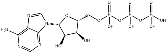 三磷酸腺苷 | CAS No.56-65-5