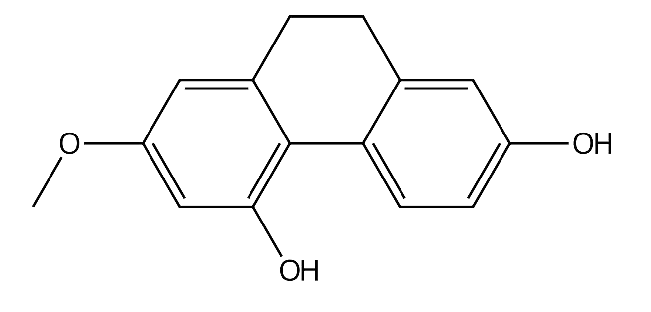  4,7-二羥基-2-甲氧基-9,10-二氫菲 | CAS No.87530-30-1