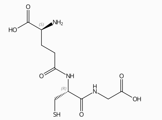  谷胱甘肽 | CAS No.70-18-8