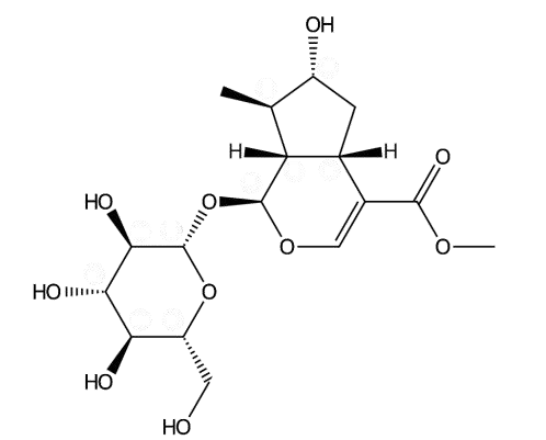 7-Epiloganin 丨CAS No.25171-66-8