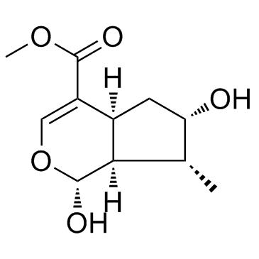 馬錢苷元 CAS：29748-10-5 中藥對照品標(biāo)準(zhǔn)品