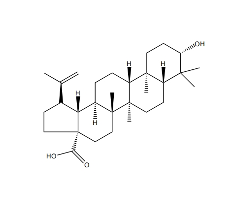 白樺脂酸 CAS：472-15-1 中藥對照品 標準品