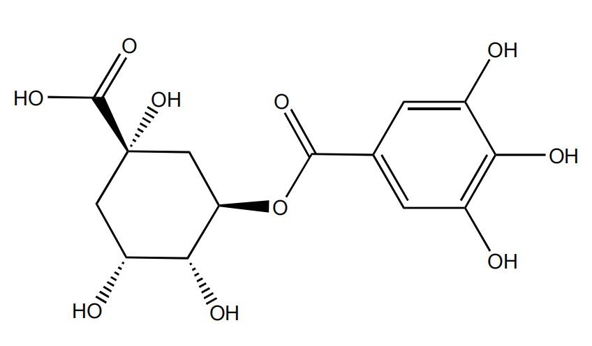 3-沒(méi)食子酰基奎寧酸 | CAS No.17365-11-6