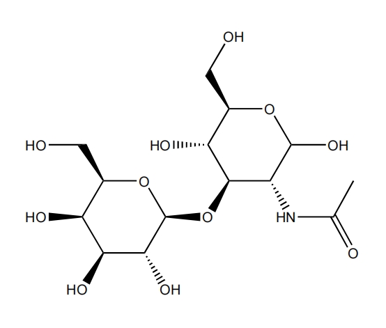 乳-N-乙糖 | CAS No.50787-09-2