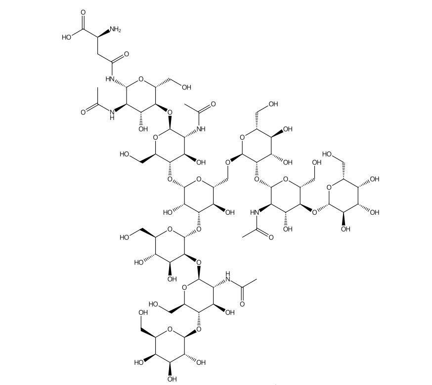 A2G2-Asn |CAS No.67299-24-5